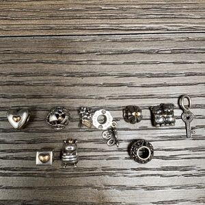 Pandora Two Tone Charms (10)